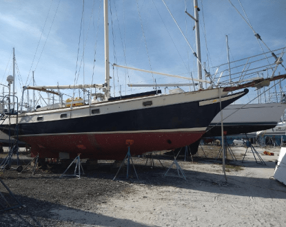 BOAT SURVEY